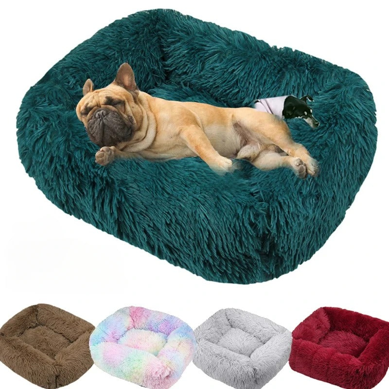 Anti-Anxiety Calming Bed