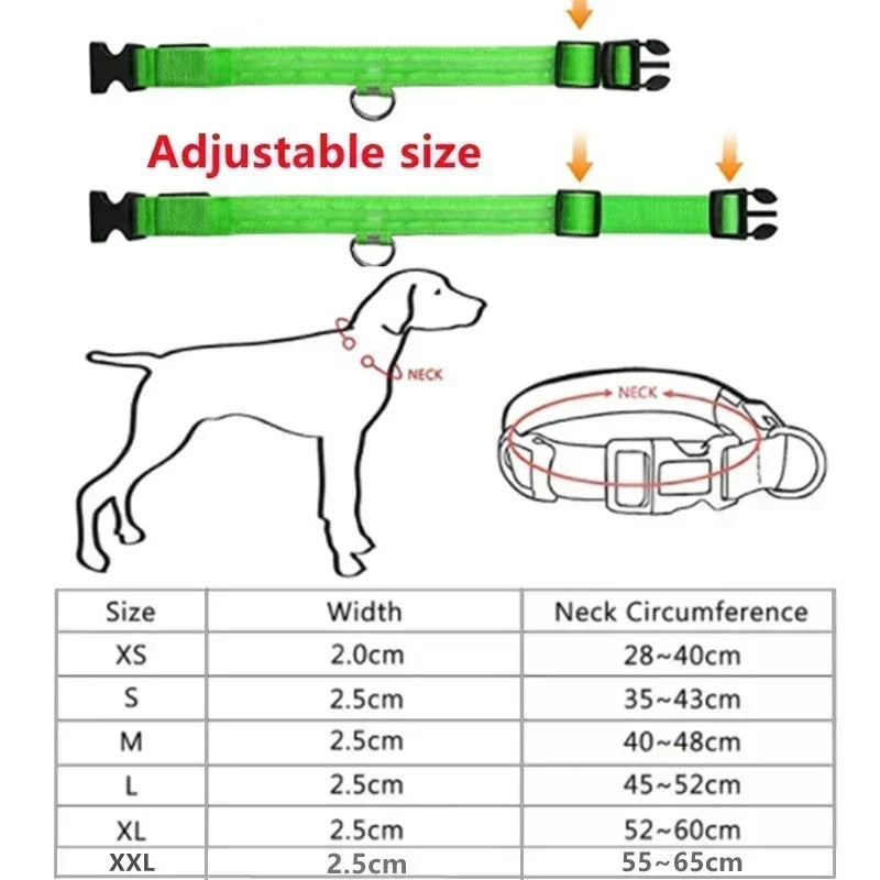 Illuma Collar