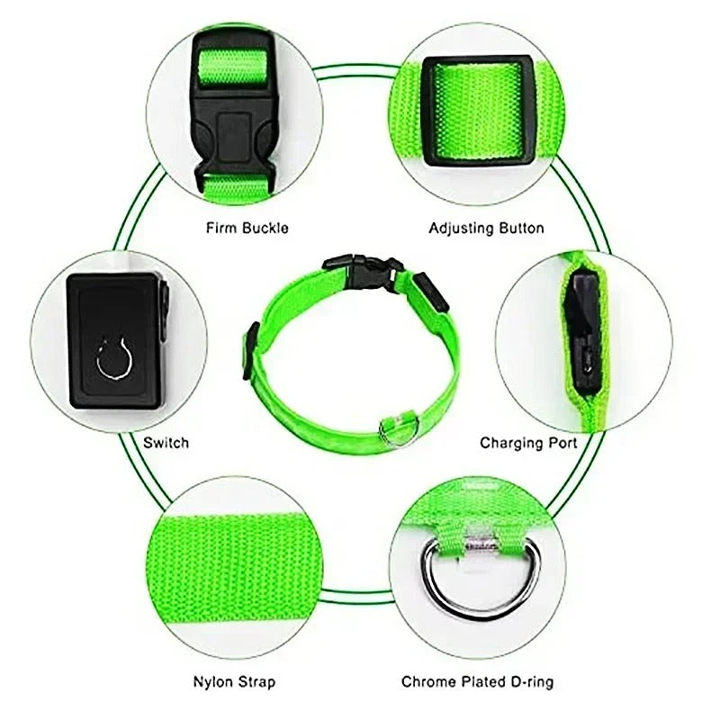 Illuma Collar