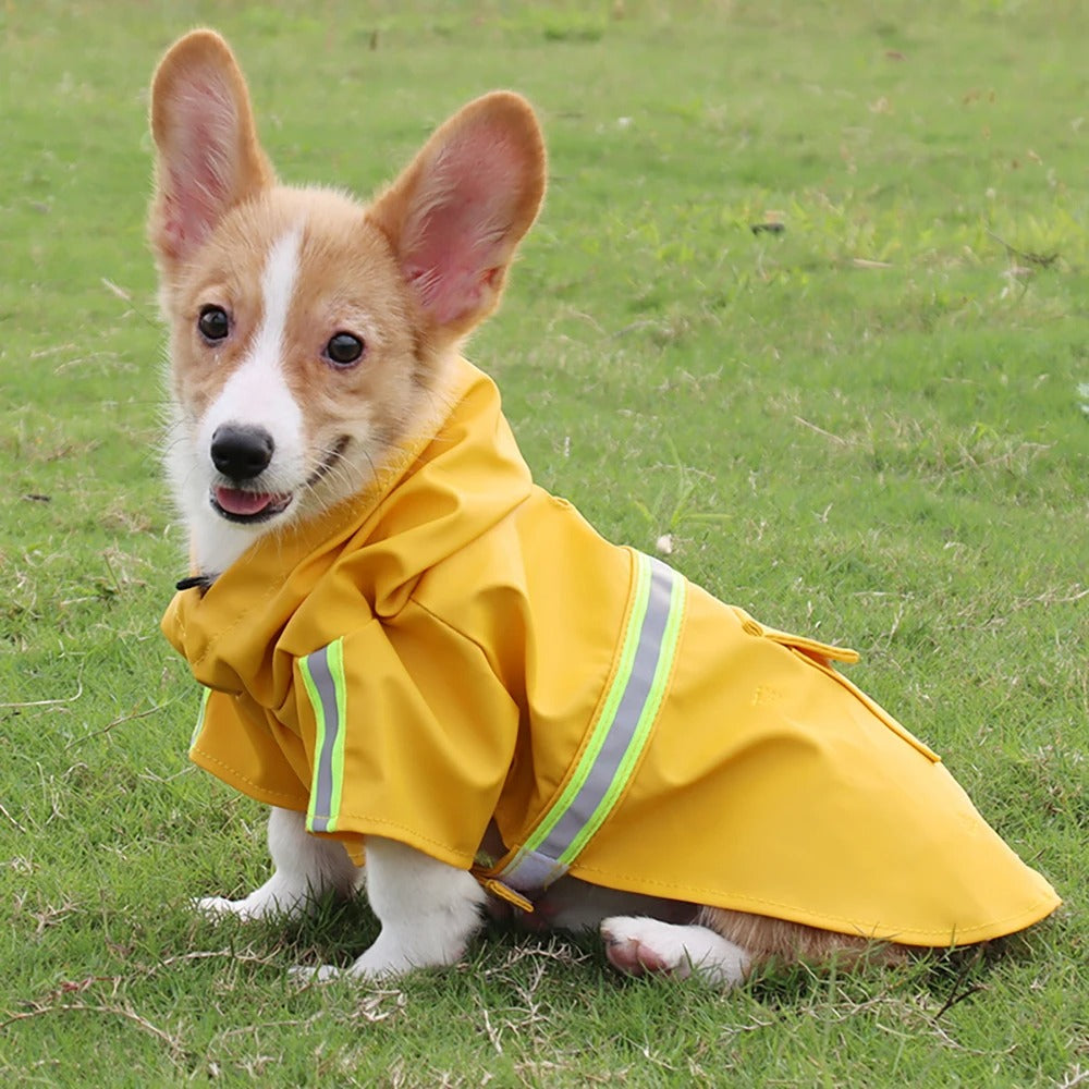 Pawsh Rain Cloak